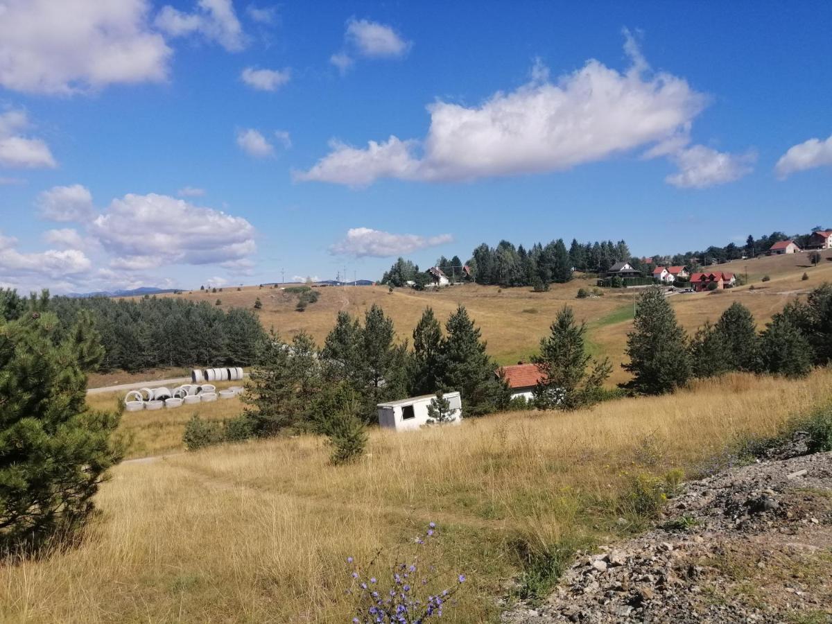 Max Zlatibor